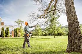 Best Lawn Watering Services  in Loyola, CA